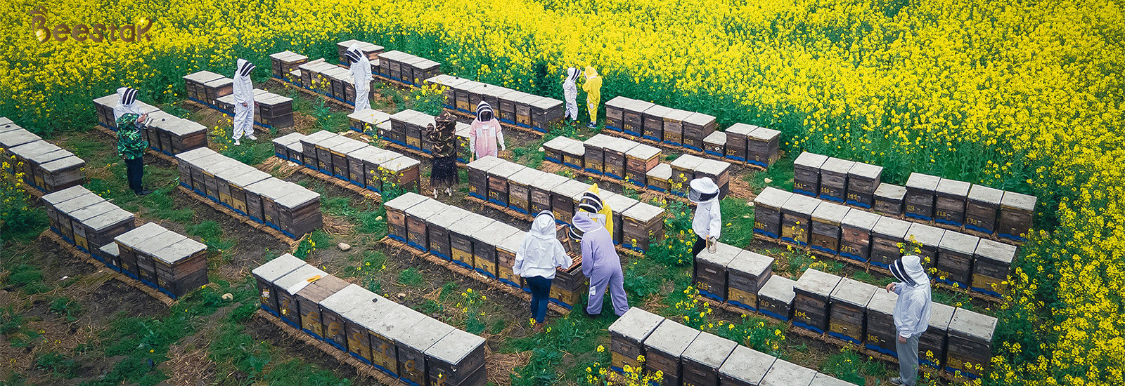 jakość Miód pszczeli naturalny fabryka
