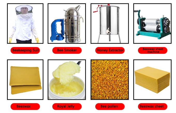 Sześciokątne plastikowe pudełko na pszczoły tylko z ramką do podkładu z grzebienia miodowego 3