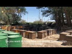 Czysta świeża herbata Pyłek Naturalny pokarm dla pszczół Fabryka bezpośrednio w sprzedaży