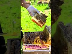 100% naturalny miód cytrusowy czysty miód surowy zdrowe jedzenie naturalny pszczoły miód hurtowy