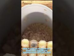 Czy wiesz, jak zbiera się mleczko pszczele? Po przeczytaniu tego zrozumiesz