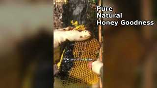 Dlaczego czarny miód to najlepszy pożywienie w Twojej spiżarni