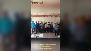 Czysty surowy granulat pyłku pszczelego Najwyższej jakości pożywienie