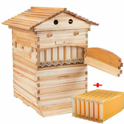 kupować Bee Star Langstroth Flow Hive Usz z 7 plastikowymi ramami Usz i ramy dla pszczelarstwa produkcja online