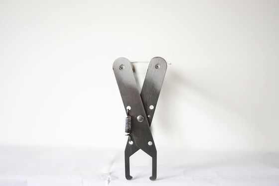 kupować Bee Hive Equipment Bee Frame Grip Bez uchwytu do pszczelarstwa produkcja online