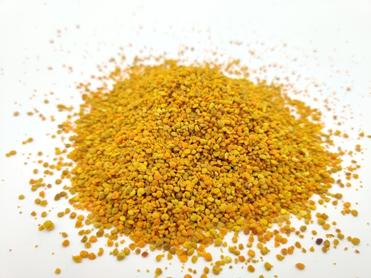 Fabryka hurtowa Świeże granule pyłku mieszanego surowy pył pszczeli Żywność organiczna
