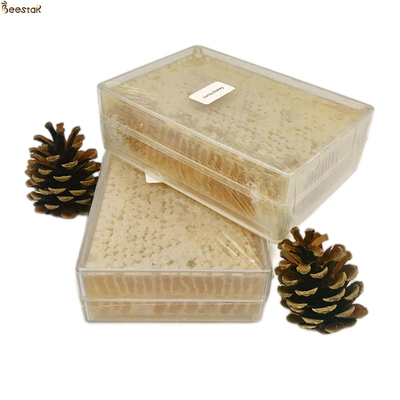 Naturalny miód pszczeli od Beestar 100% naturalny i pyszny miód w plastrze do bezpośredniego spożycia