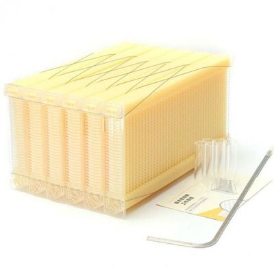 Plastikowa ramka przepływu miodu w kategorii żywnościowej 49,5*24,5 cm do samodzielnego przepływu miodu w udzie przepływu