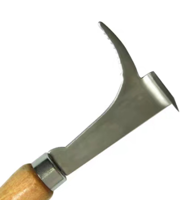 nazwisko