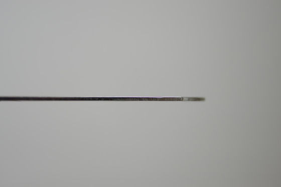 nazwisko