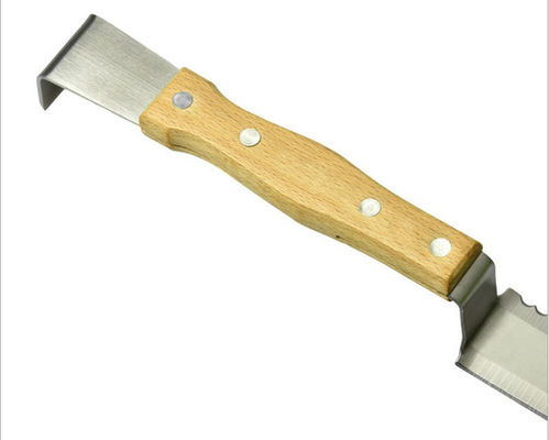 nazwisko