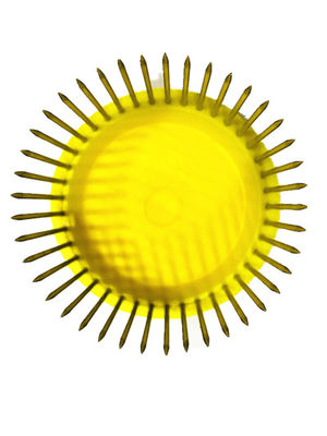 nazwisko