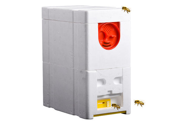 nazwisko