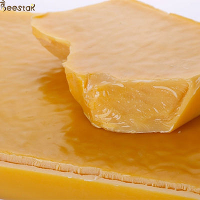 nazwisko