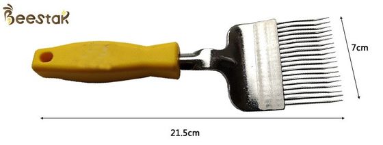 nazwisko